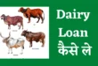 dairy farm loan kaise le