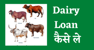 dairy farm loan kaise le